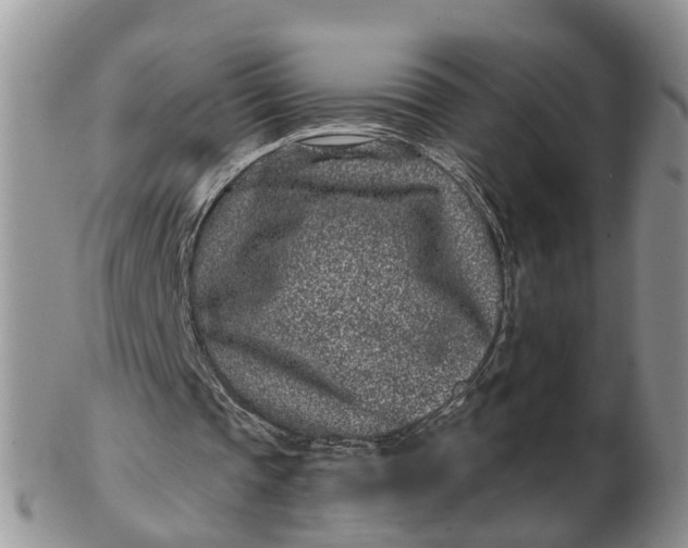 X0000102790337200809021119