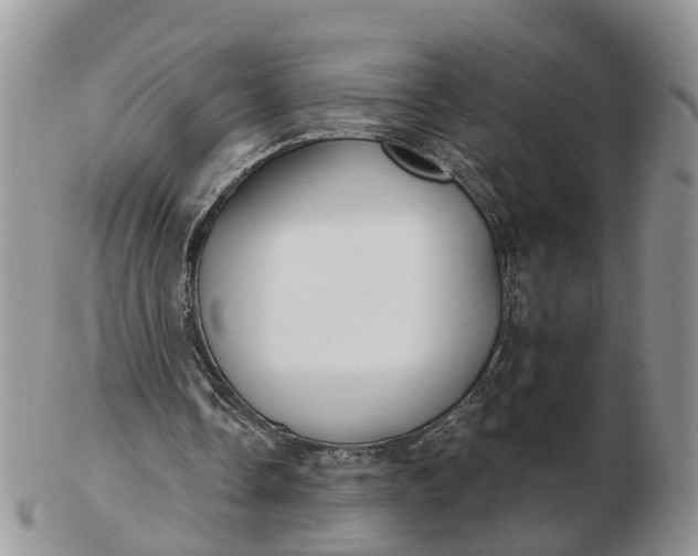 X0000102790338200809021119