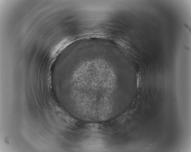 X0000102790339200809021119