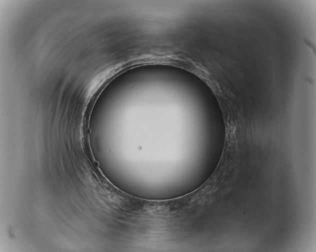 X0000102790340200809021119