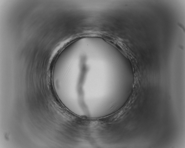 X0000102790342200809021119