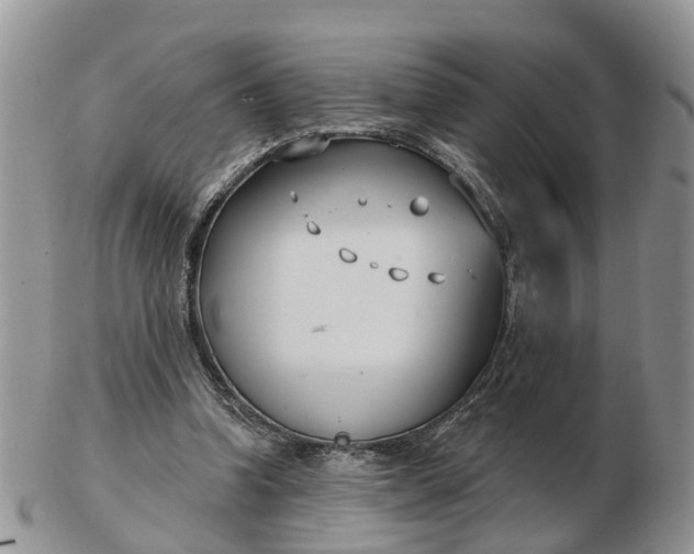 X0000102790346200809021119