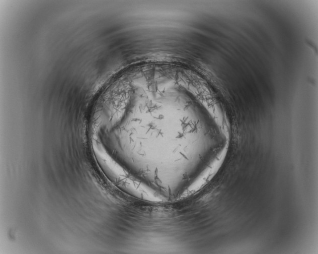 X0000102790347200809021119