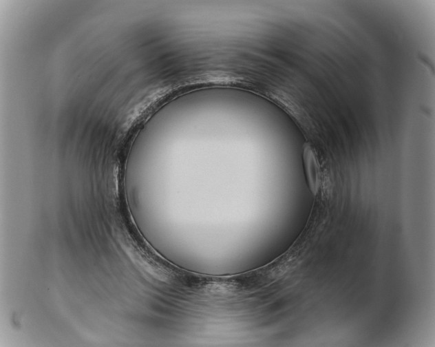 X0000102790350200809021119