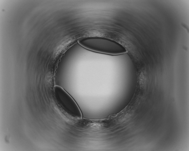 X0000102790352200809021119