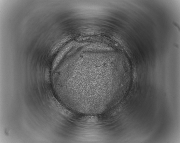 X0000102790353200809021119