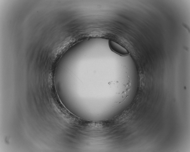 X0000102790354200809021119