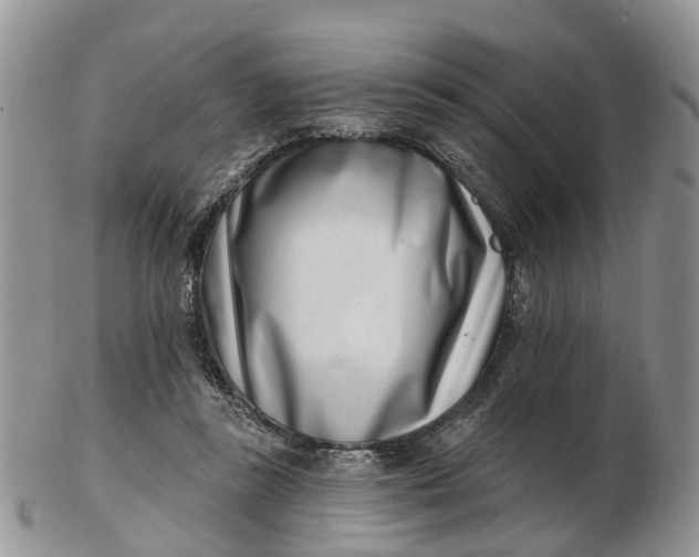 X0000102790355200809021119