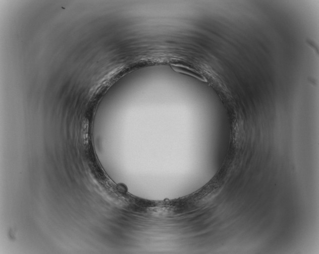 X0000102790356200809021119