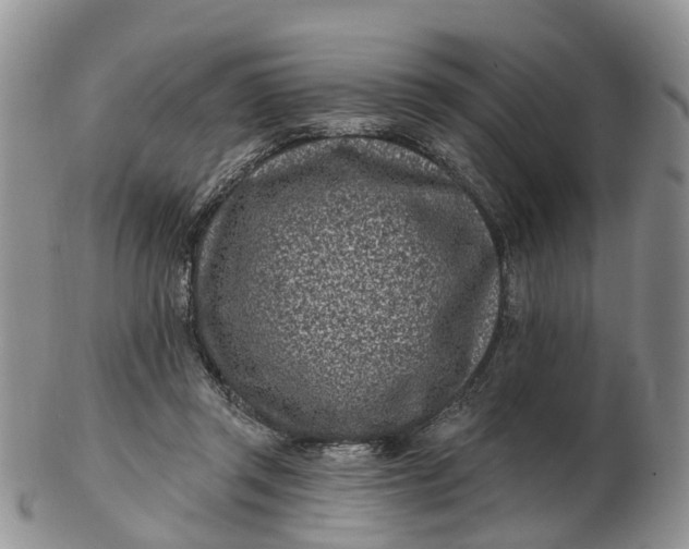 X0000102790357200809021119