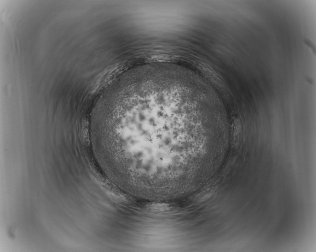 X0000102790361200809021119