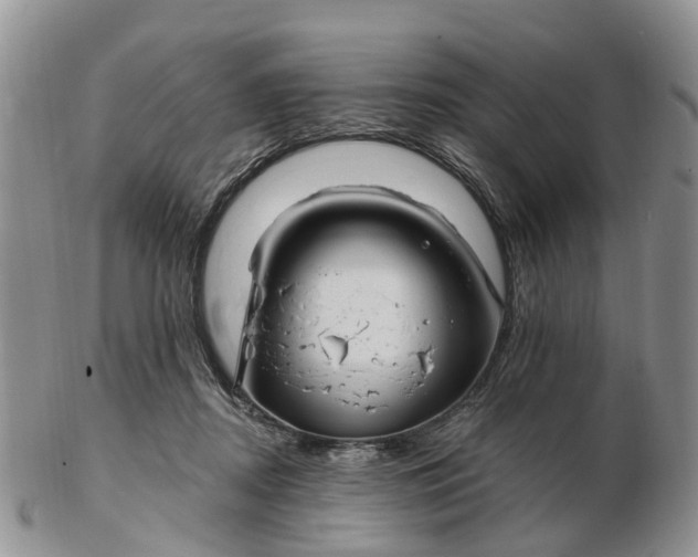 X0000102790362200809021119