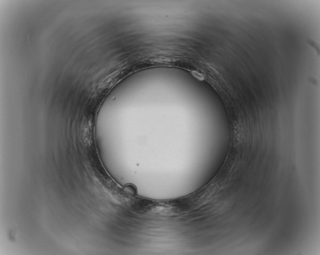 X0000102790364200809021119