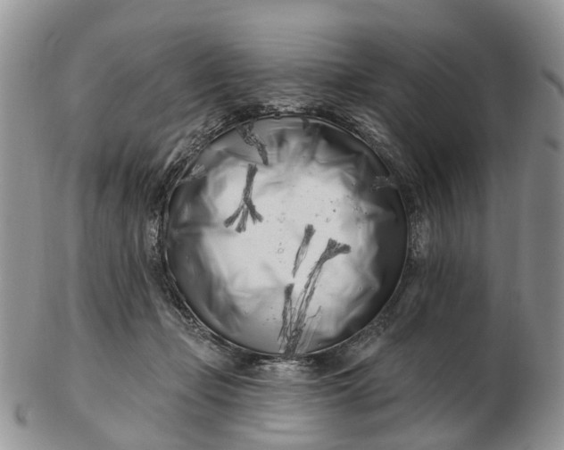 X0000102790365200809021119