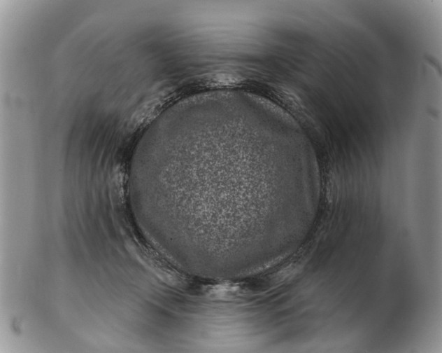 X0000102790366200809021119