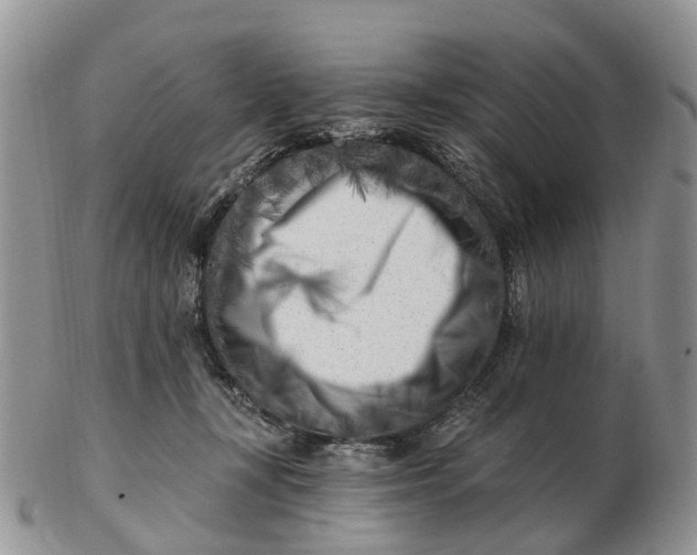 X0000102790367200809021119