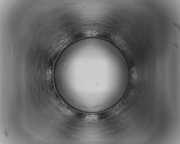 X0000102790369200809021119