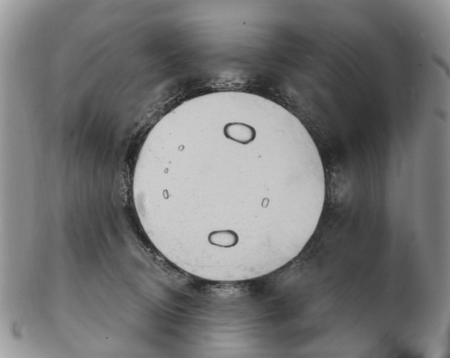 X0000102790370200809021119