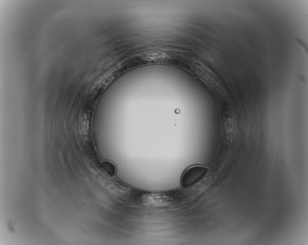 X0000102790372200809021119