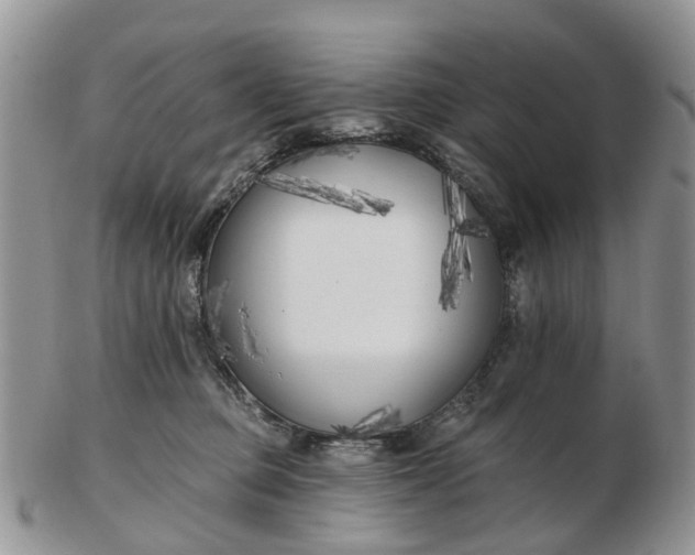 X0000102790373200809021119