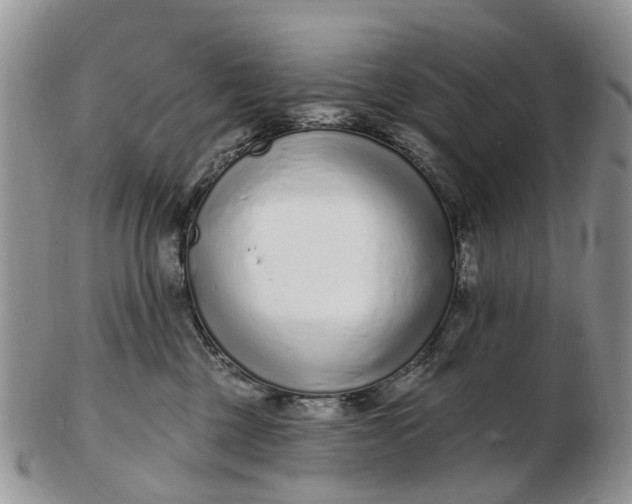 X0000102790377200809021119