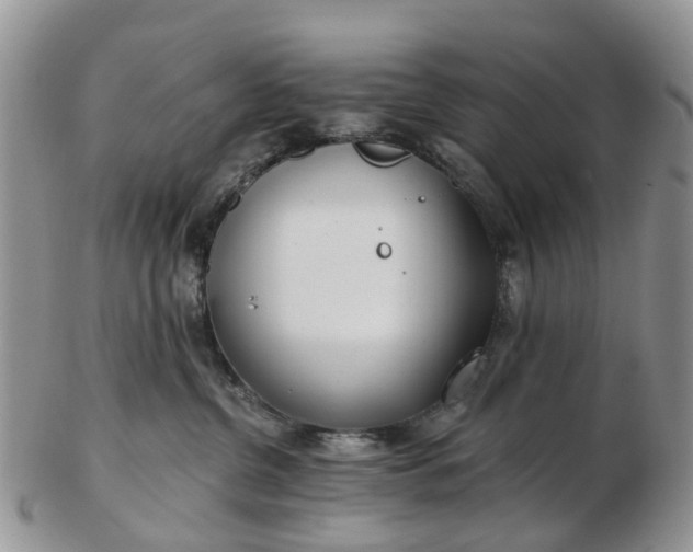 X0000102790380200809021120