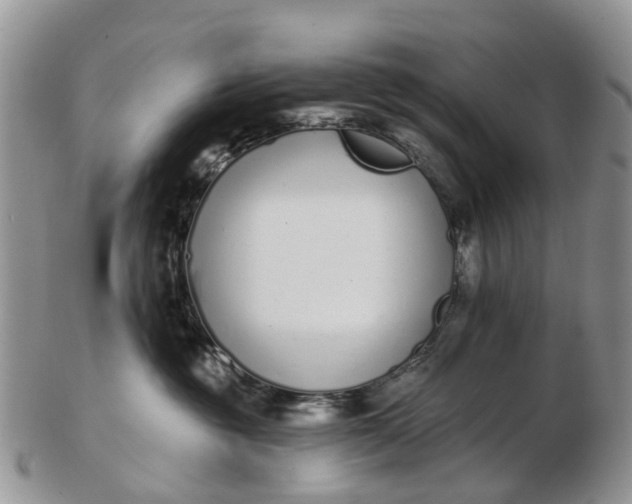 X0000102790381200809021120