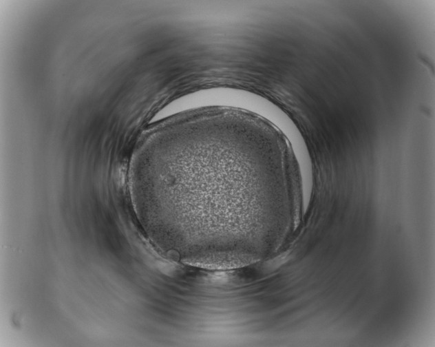 X0000102790382200809021120