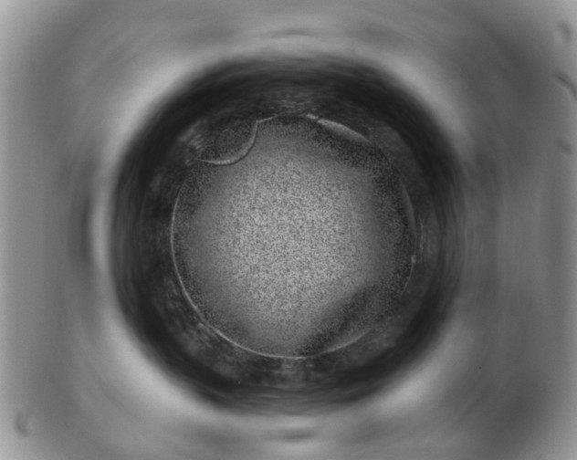 X0000102790383200809021120