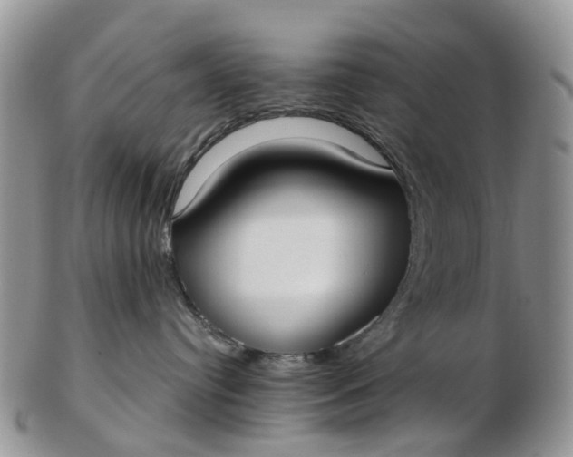 X0000102790384200809021120