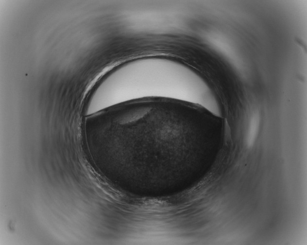 X0000102790387200809021119