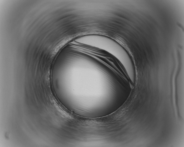 X0000102790389200809021119