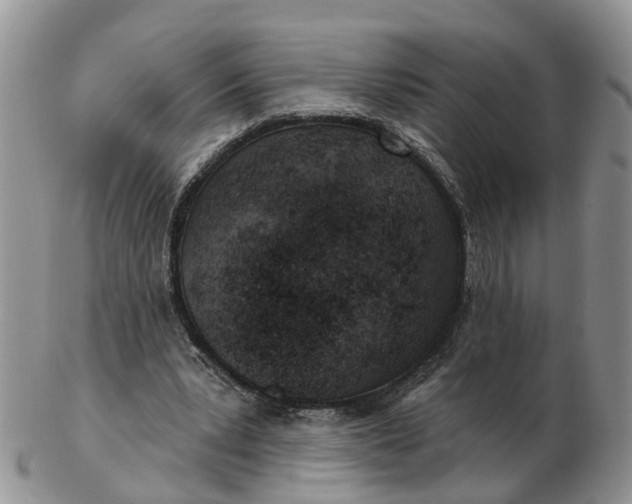 X0000102790391200809021119