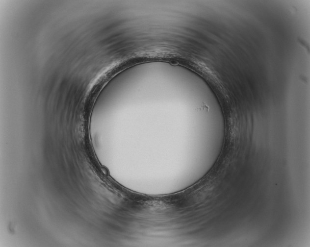 X0000102790392200809021119