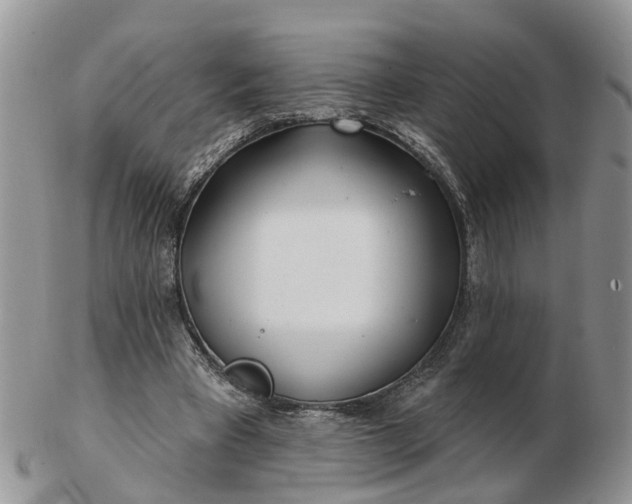 X0000102790393200809021119