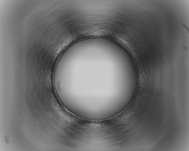 X0000102790394200809021119