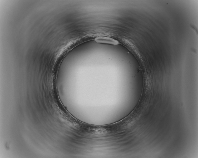 X0000102790395200809021119