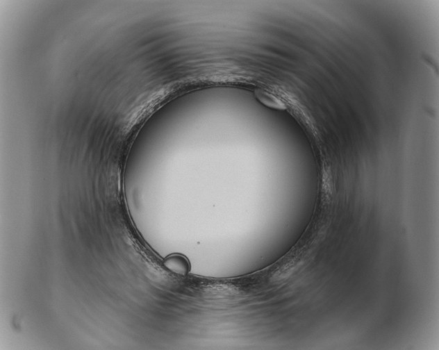 X0000102790397200809021119