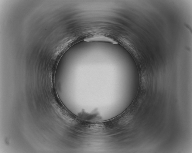 X0000102790398200809021119