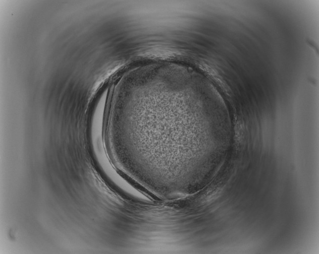 X0000102790399200809021119