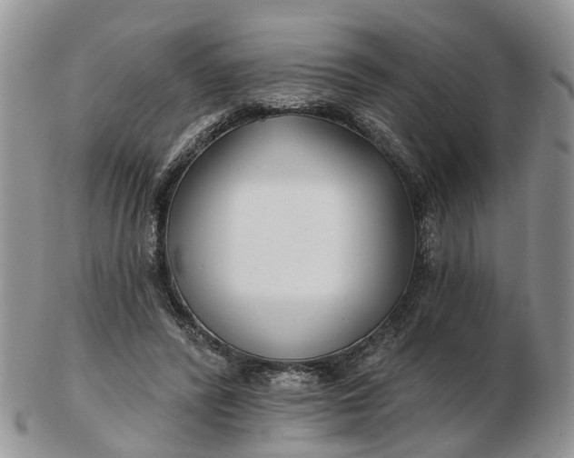 X0000102790400200809021119