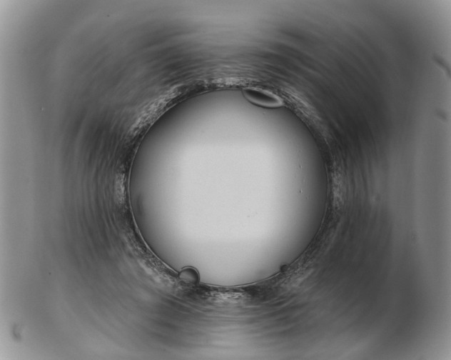 X0000102790401200809021119