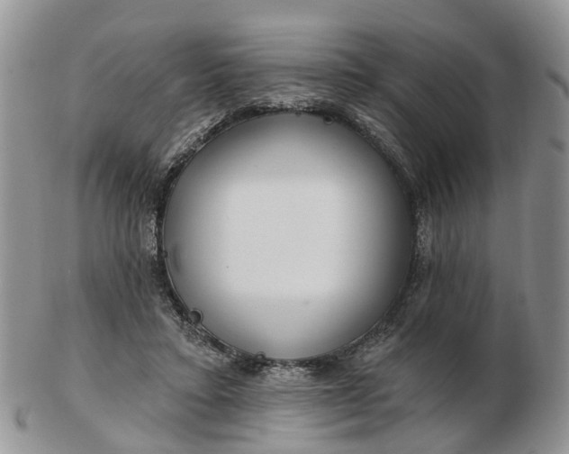 X0000102790403200809021119