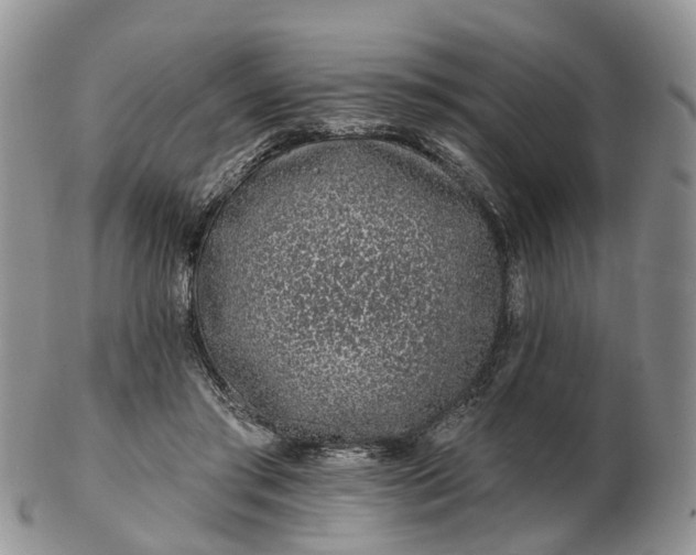 X0000102790405200809021119