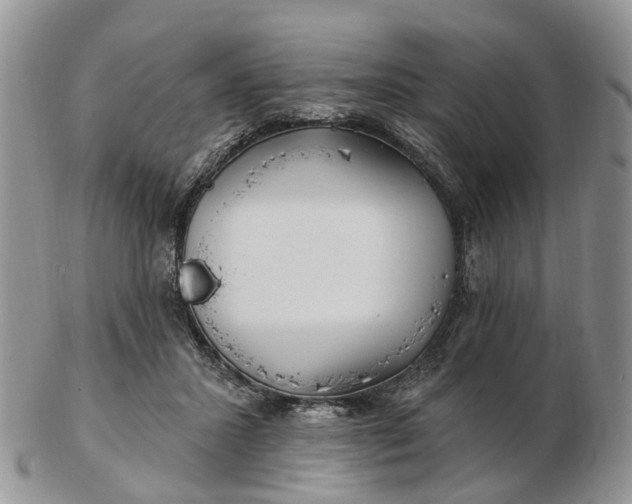 X0000102790407200809021119