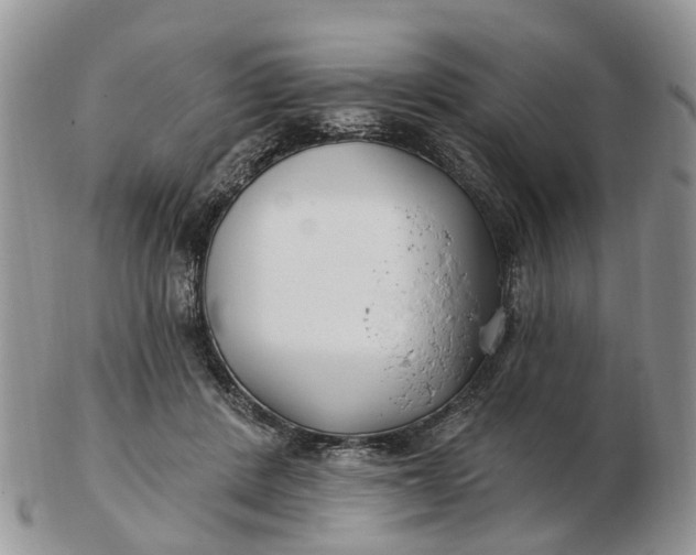 X0000102790408200809021119