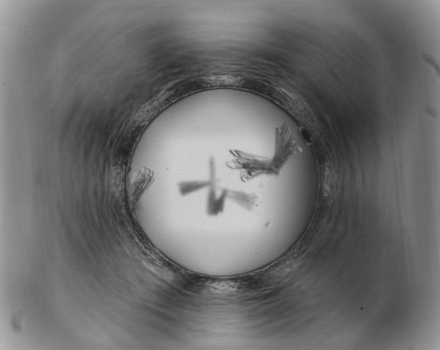 X0000102790409200809021119