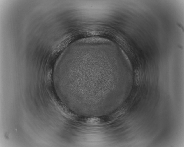 X0000102790410200809021119