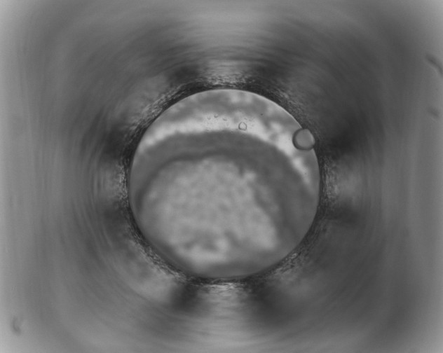 X0000102790411200809021119