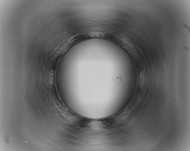 X0000102790413200809021119